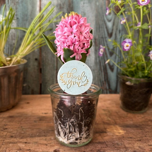 Thank you - Kleine Seifchengeschenkerl