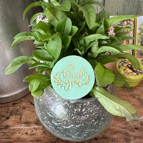 Thank you - Kleine Seifchengeschenkerl