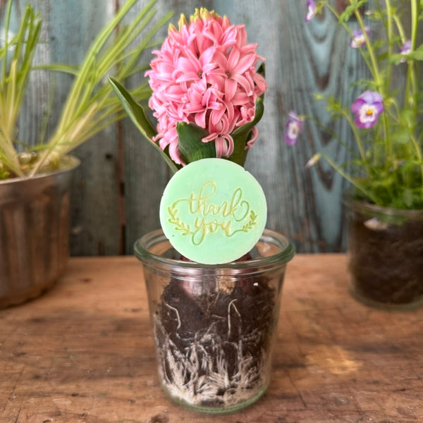 Thank you - Kleine Seifchengeschenkerl