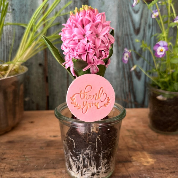 Thank you - Kleine Seifchengeschenkerl
