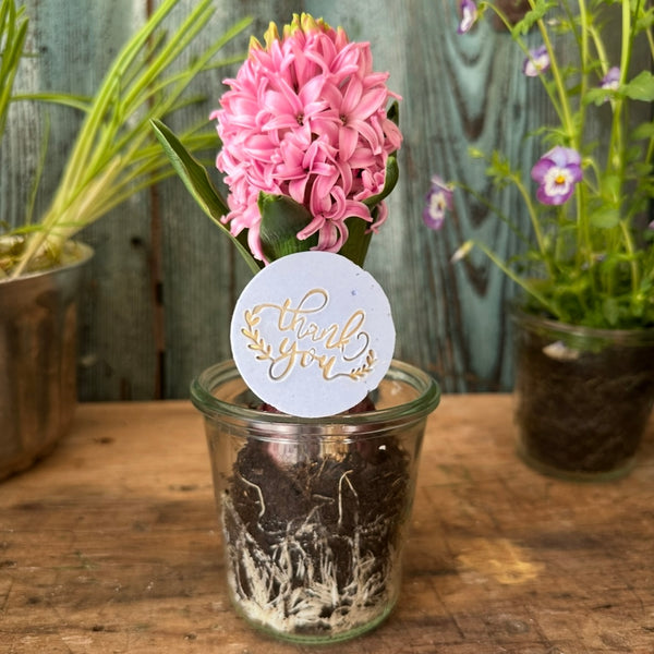 Thank you - Kleine Seifchengeschenkerl