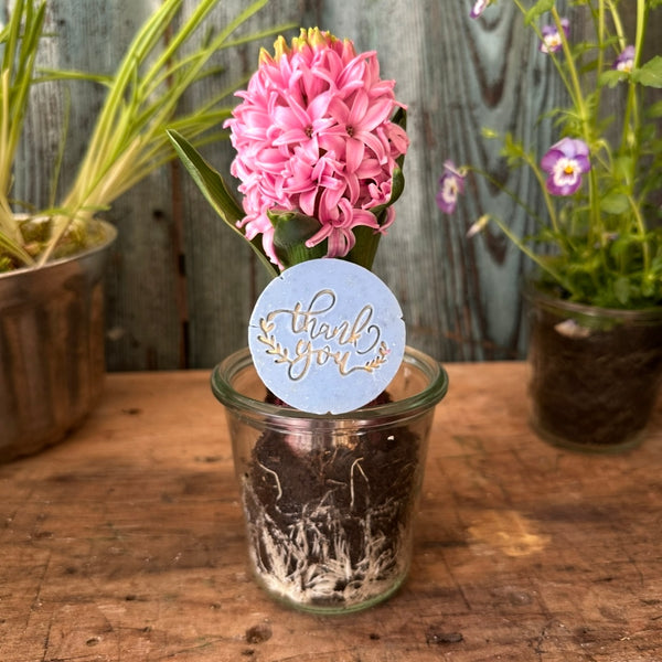 Thank you - Kleine Seifchengeschenkerl