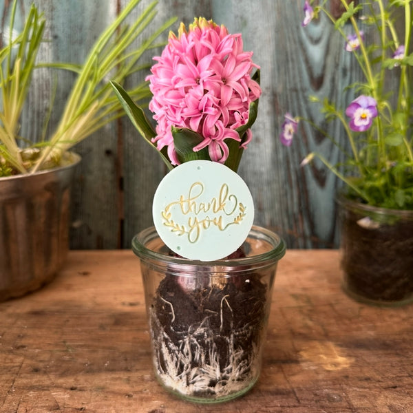 Thank you - Kleine Seifchengeschenkerl