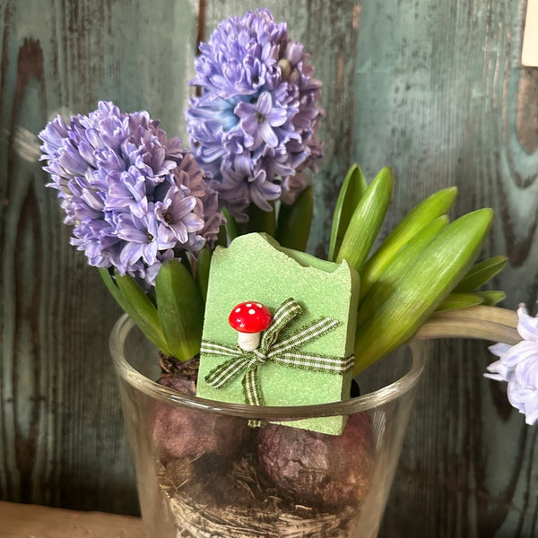 Waldmeister Brause - Seifenstück