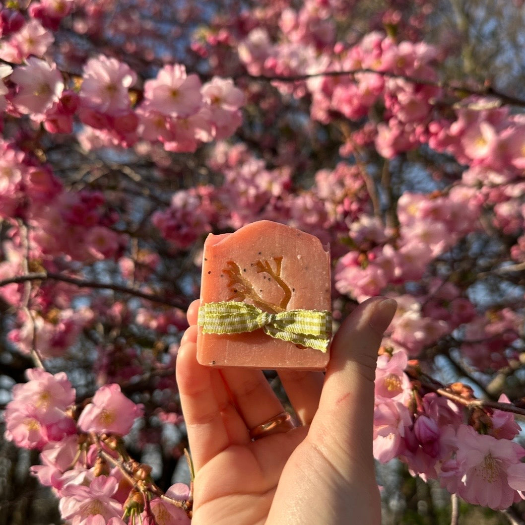 Sakura no eda - Kirschblütenseife