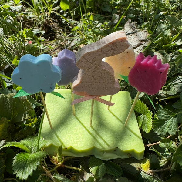 Blumenwiese - Seifenstecker