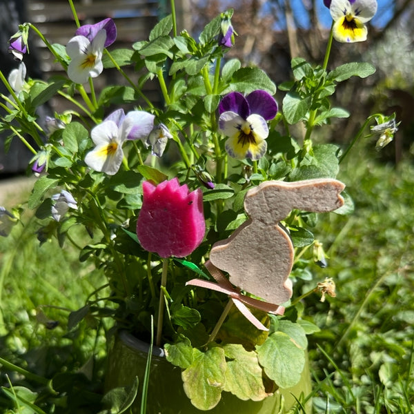 Blumenwiese - Seifenstecker