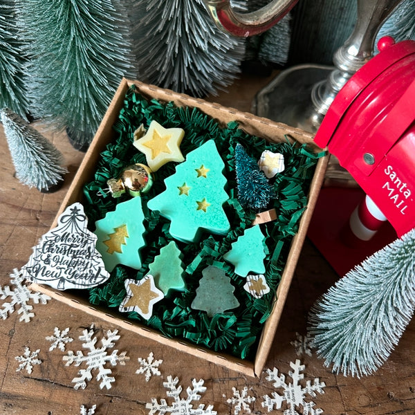 Weihnachtsbaum Traum - Seifenset