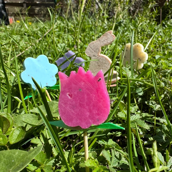 Blumenwiese - Seifenstecker