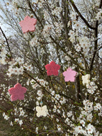 Sakura Blüte - Seifenanhänger
