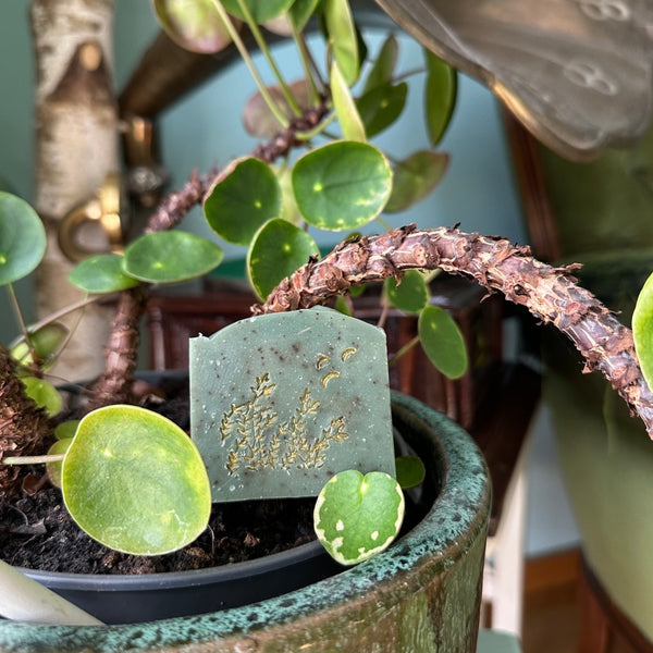 The Gardener - Gärtnerseife