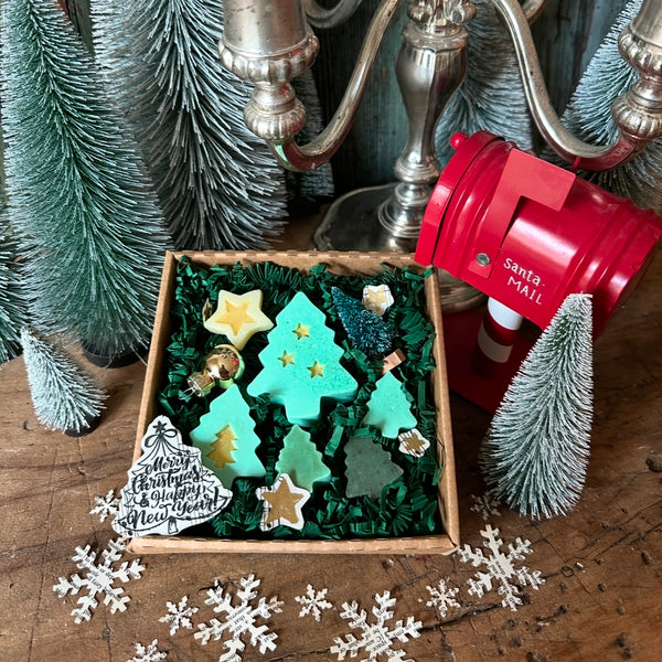 Weihnachtsbaum Traum - Seifenset