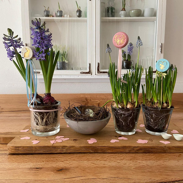 Seifen-Frühlingsstäbe